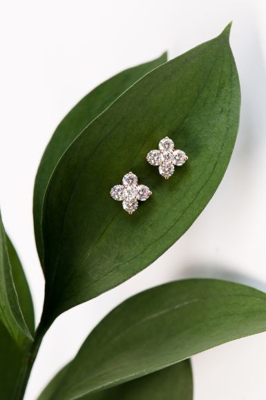 Liliana Barraza - Creative Product Photography